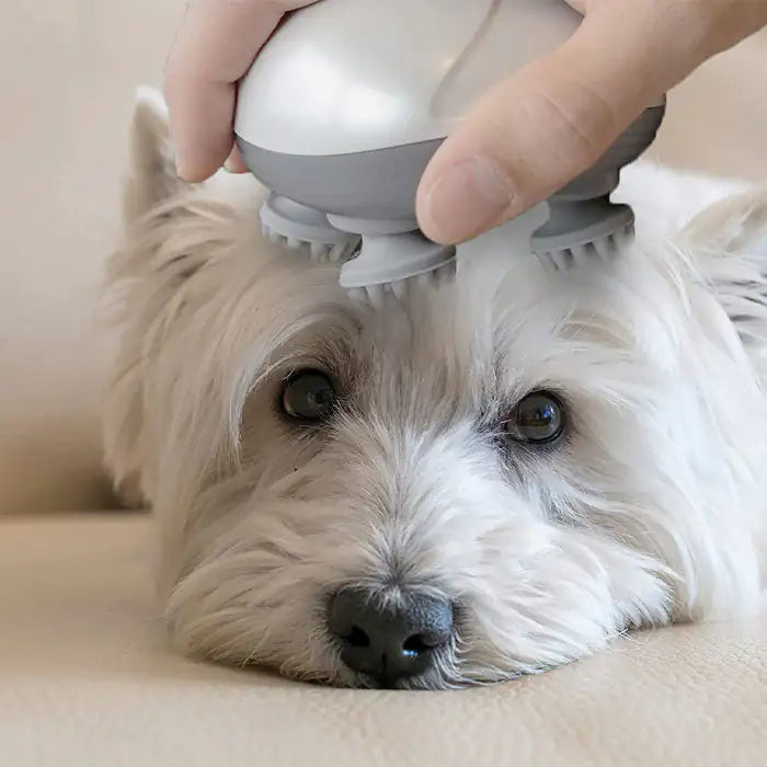 Electric Massager for Pets